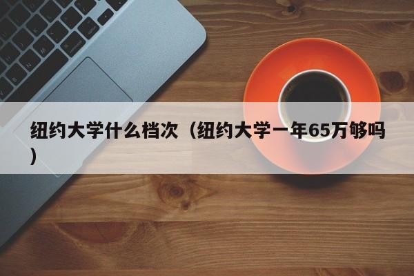 纽约大学什么档次（纽约大学一年65万够吗）