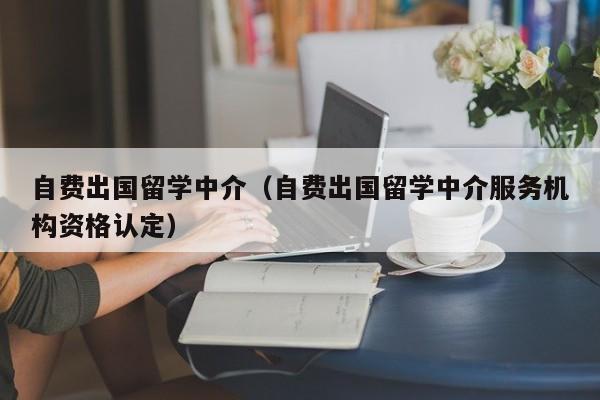 自费出国留学中介（自费出国留学中介服务机构资格认定）