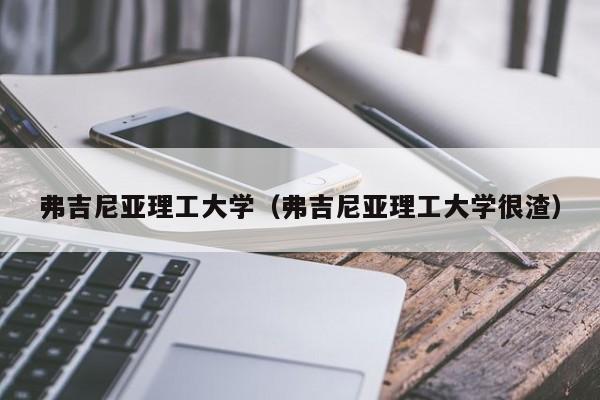 弗吉尼亚理工大学（弗吉尼亚理工大学很渣）